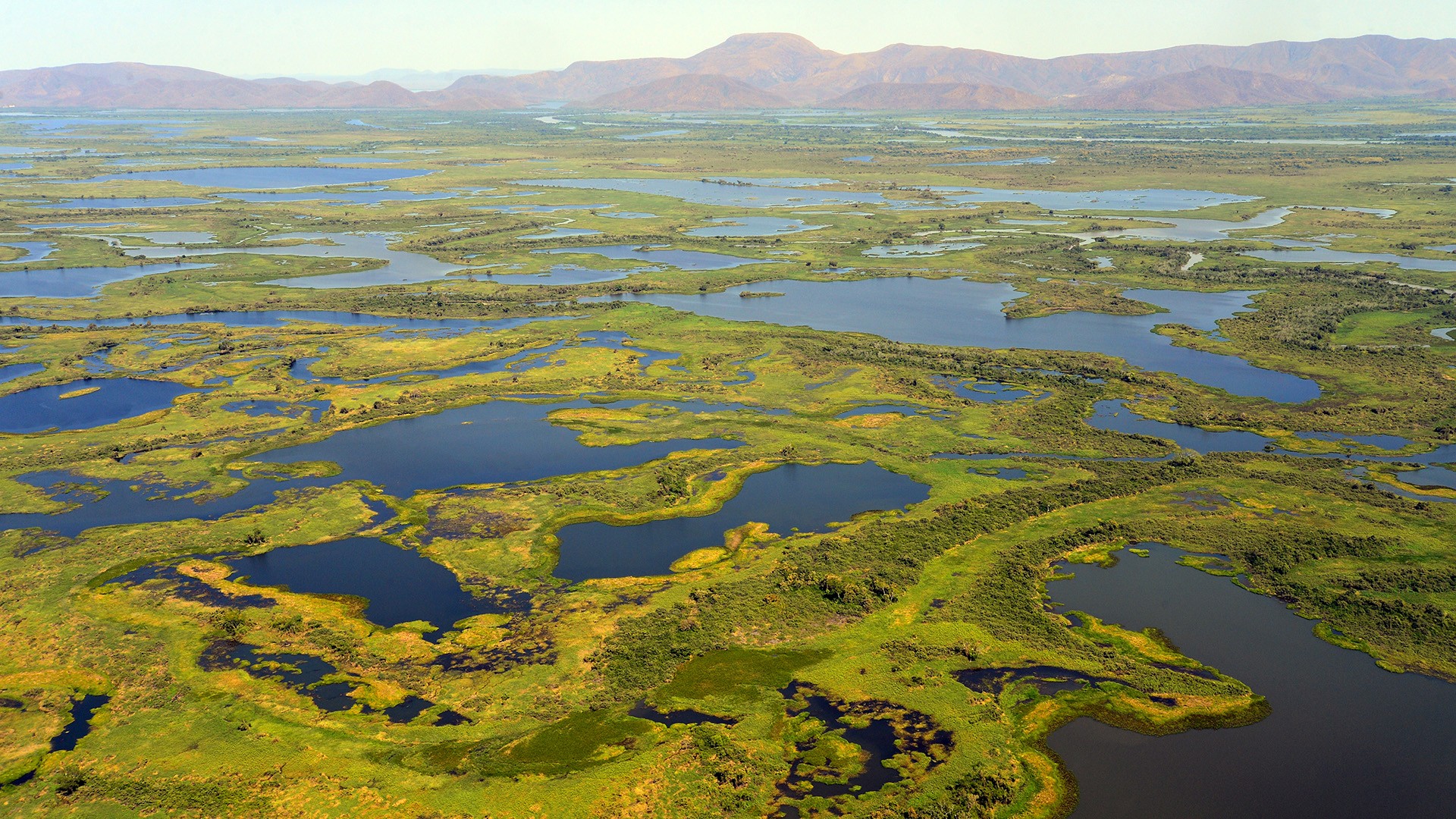 wetlands-vital-for-biodiversity-humankind